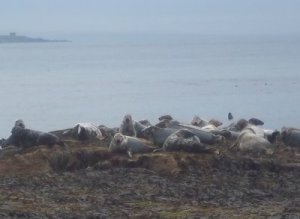 Neugier herrscht auf beiden Seiten