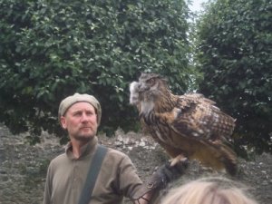 Hier wird nicht nur geflogen sondern auch gefüttert