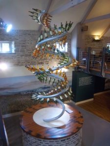 Kunstvolle Whiskeypräsentation bei Glenlivet