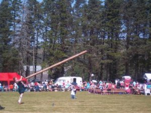 Endlich werfen sie auch die Baumstämme durch die Gegend