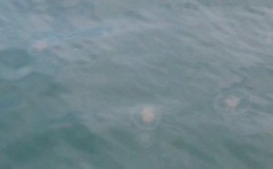 Womit man mich so begeistern kann...