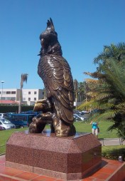 Loro-Parque - Mein Grund für den Teneriffa-Urlaub