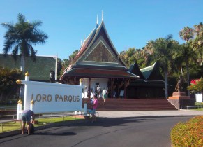 Hier gehts zu den Aras: der Eingang des Loro-Parque