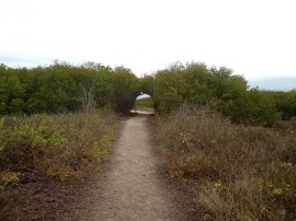 Der "Eingang" zum La Loberia