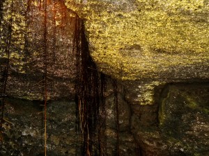 Goldschimmer in der Cueva de Sucre