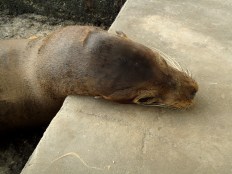 Ich fühlte mich beobachtet