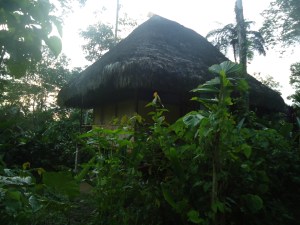 Die Cabanas sind versteckt mitten im Dschungel