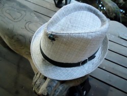 Tierische Begleitung