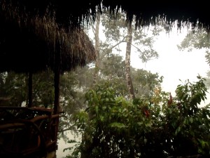 Es wird ganz schön feucht am Abend.